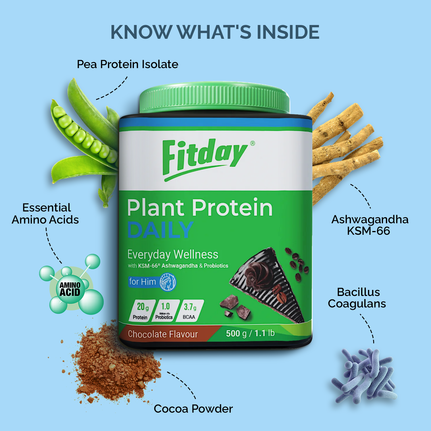 Fitday Plant Protein Powder - Daily for Him