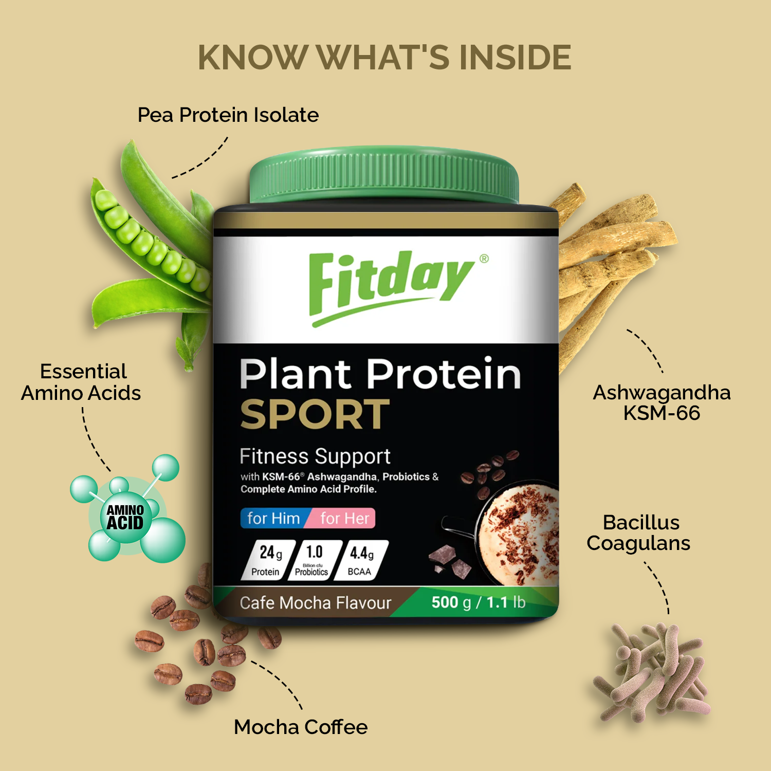 Fitday Plant Protein Sport - Café Mocha