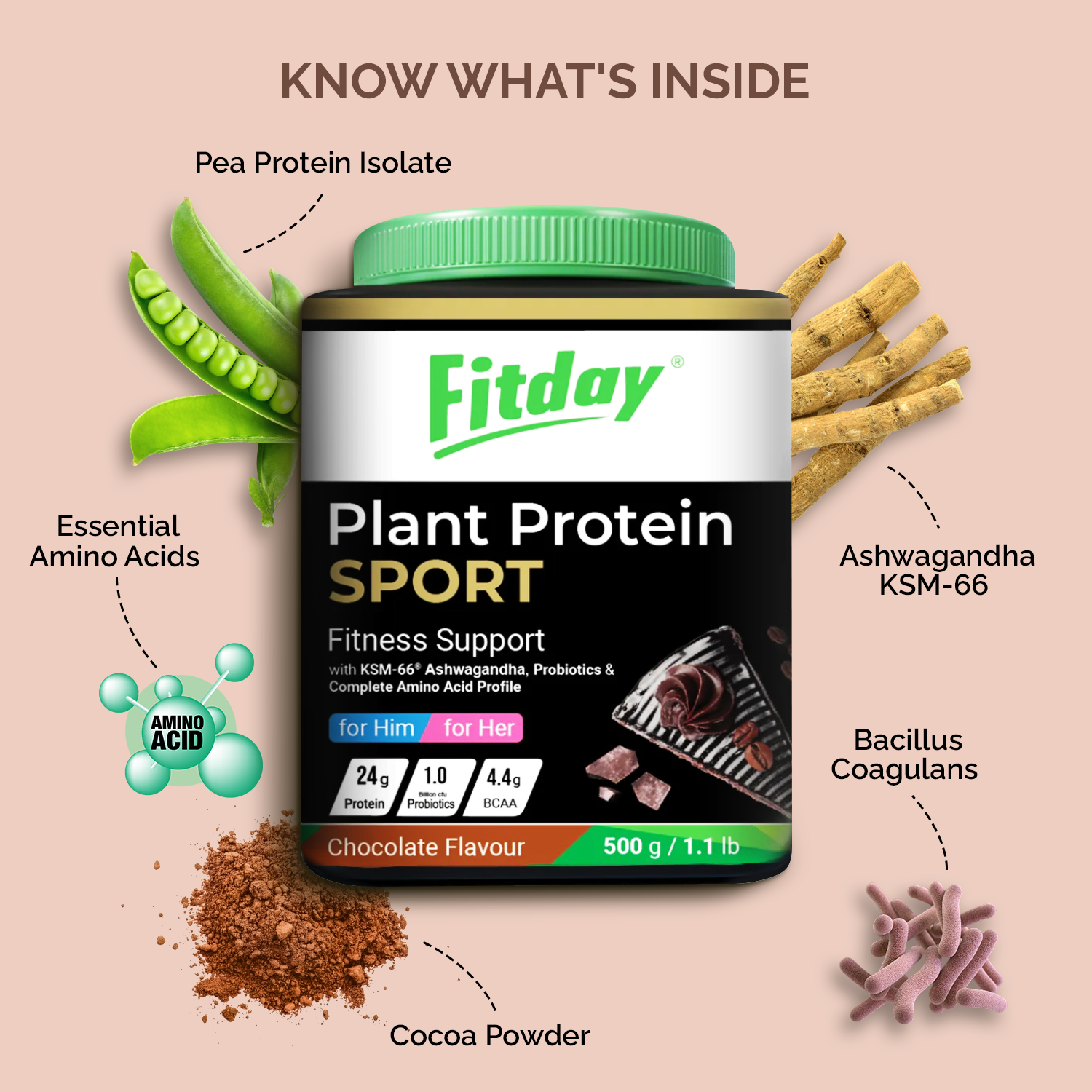 Fitday Plant Protein Sport - Chocolate